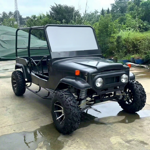 Mini Jeep essence 350cc homologuée pour la route, Mini Jeep essence 350cc tout-terrain, Voiturette de club, Voiturette de golf classique à 4 roues - Product Image 1