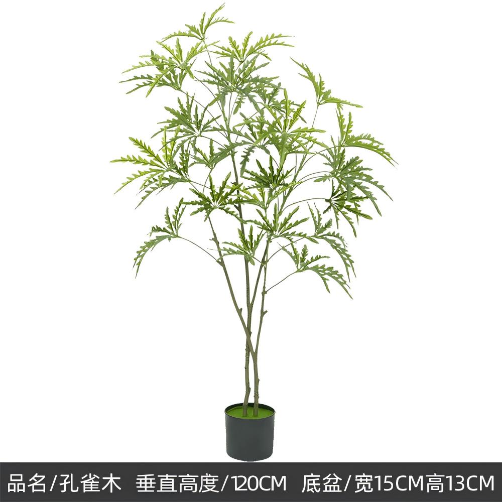Plantes vertes 4