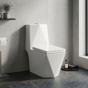 WC monobloc sans bride en céramique WaterMark CE australien avec siphon en P et abattant UF - Product Image 2