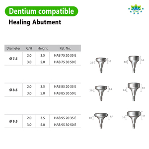 Khớp nối phục hình Dentium Super Line Healing TC4ELI, Titan cấp 5, bán trực tiếp từ nhà máy, hàng có sẵn, giao hàng nhanh 24 giờ - Product Image 3