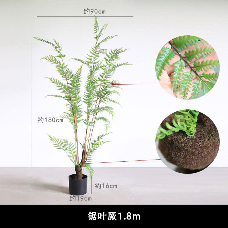 Moss root + flexible rod pro giant fern 18m