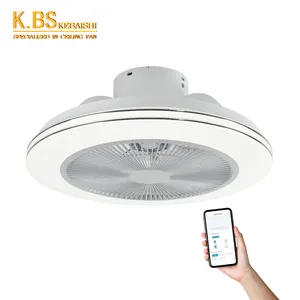 Energy Saving Noiseless Bedroom App Control Modern Dc Smart Bldc Tuya Wifi Led Smart Ceiling Fan With Light