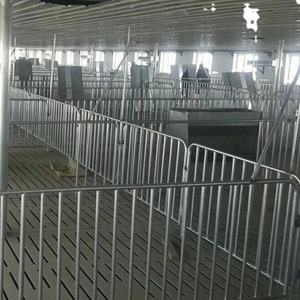 Stylo boulier pour animaux de compagnie, équipement pour cochon, stylo - Product Image 2