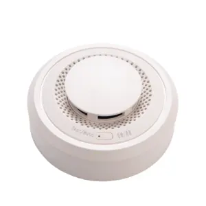 Personal plastic cover housing photoelectric stand alone and ionization smoke fire detectors alarm sensor function with alarm