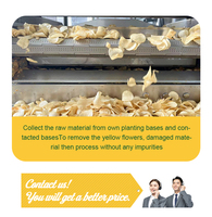 Patatas Fritas Crujientes Saludables Bajas en Grasa, Dulces y Frescas, Cortadas al Momento, para Venta al por Mayor