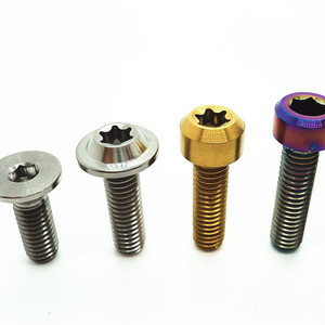 Fabricant professionnel de fixations en titane, fourniture directe d'usine, vis à tête Torx anodisées sur mesure, en vrac, pour l'industrie - Product Image 2