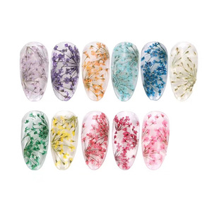 Mixed Natural <b>Dried</b> Flower Nail Stickers Summer <b>Petal</b> Nail Art Decals Colorful Real Flower Decorations for Nail Salon - Product Image 4