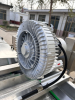 Industriële Automatische Transportband Luchtbel Fruit Wassen En Schoonmaken Machine Blad Ozon Druk Bubble Wasmachine Reiniger