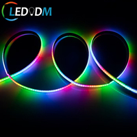 Bande lumineuse LED numérique RGB haute densité Ws2812B Ws2811 12mm DC12/24V adressable COB intérieur/extérieur