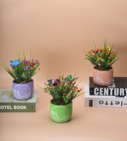 Pots en céramique de style nordique pour plantes Conception de bassin ventilé pour Cactus Couvercles de pots de fleurs succulentes pour la maison et le jardin
