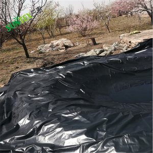 Eomembrane-revestimiento para estanque de camarones y peces, película tejida reforzada, impermeable, antienvejecimiento - Product Image 2