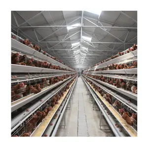 Cage à œufs de poule pondeuse en batterie design cage à volailles vente pour ferme pakistanaise au prix d'usine