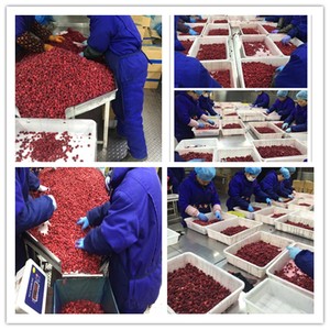 Đông Lạnh Mâm Xôi Toàn Bộ Đông Lạnh Trái Cây - Product Image 5