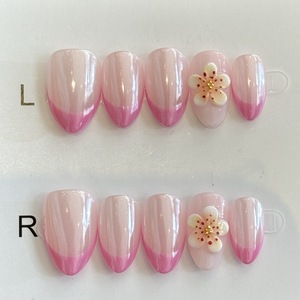 Uñas Postizas Hechas a Mano <span class=keywords><strong>con</strong></span> Diseño de <span class=keywords><strong>Flores</strong></span> Secas, Efecto Ojo de Gato, <span class=keywords><strong>Flores</strong></span> 3D, <span class=keywords><strong>Manicura</strong></span> <span class=keywords><strong>Francesa</strong></span>, 10 Piezas - Product Image 1