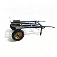 Carretilla de Carga Industrial Plegable Personalizable de 2 Ruedas, de Acero Resistente, con Plataforma, Soporte OEM, Capacidad de Carga de 200 kg