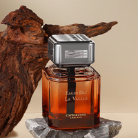 Diffuseur d'arômes 100 ml pour voitures, longue durée, élégant flacon en verre, parfum pour la maison, le bureau et la voiture