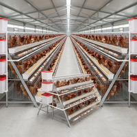 Nouveau système complet d'élevage de poulets en cage à 3 niveaux de type A, conception haute capacité et peu encombrante pour les petites et moyennes fermes avicoles
