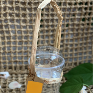 Jacinto de agua de soporte de botella respetuoso con el medio ambiente de Blue Lotus Vietnam - Product Image 6