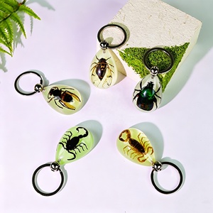 Llavero de Resina con Espécimen de Araña Real de Alta Calidad, Brilla en la Oscuridad, Novedad para Hombres, Llaveros Promocionales con Mosquetón - Product Image 4