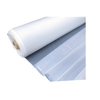 Film plastique pour serre ETFE de haute qualité, transparent, durable, résistant aux UV, 200 microns