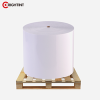 Etiquetas Autoadhesivas de Papel Sintético Termoadhesivo, Lavables, Ecológicas, en Rollo Jumbo para Sellado de Bolsas