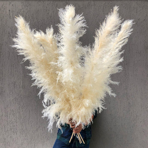 Pampas secas y esponjosas de Color blanco, grandes, flores, Pampus, decoración, césped - Product Image 3