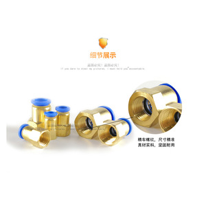 Raccord pneumatique droit à filetage interne Zonye PcF en laiton avec capuchon bleu pour tuyau d'air - Product Image 3