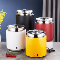 Marmite Chauffe-Soupe Électrique Commerciale 10L 13L en Acier Inoxydable à Chaleur Sèche avec Couvercle et Extérieur Émaillé Coloré
