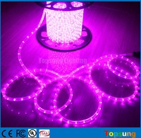 AC 277v 100m Rouleau 1/2 "100m 2 Fils Flexible Flex Corde Lumière Tira Luces Luz Licht Cinta Fita