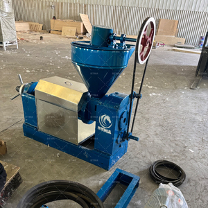 Pressa per <span class=keywords><strong>Olio</strong></span> a Vite BTMA 6YL-95, Pressa Commerciale per <span class=keywords><strong>Olio</strong></span>, Come Produrre <span class=keywords><strong>Olio</strong></span> Spremuto a Freddo - Product Image 6