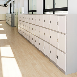 Casier électronique en acier assemblé TOPPLA personnalisé avec serrure à clé, étanche et durable, pour écoles et stades, avec compartiment à monnaie portable - Product Image 1