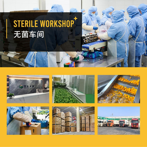 Vente directe d'usine de <span class=keywords><strong>frites</strong></span> surgelées Vente en gros et exportation de qualité nouvelle saison en stock <span class=keywords><strong>Livraison</strong></span> rapide 10kg par boîte - Product Image 5