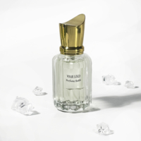 Flacon de parfum en verre de luxe pour la maison, emballage de boîte de parfum, flacon d'huile essentielle avec pompe pulvérisatrice, flacon de parfum 30ml 50ml 100ml