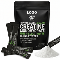 Poudre Pré-Entraînement Halal Créatine HMB Électrolytes Antioxydants, MOQ Flexible, Délai de Livraison Rapide, Vente en Gros B2B, Hydratation Sportive Adulte