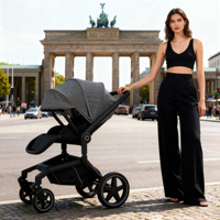 Poussette de luxe pour bébé à 4 roues avec gros pneus, poussette 4 en 1, système de voyage pliable, siège réversible pour bébé