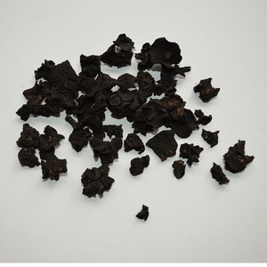 Vente en gros de champignons bulgares séchés Inquinans Gouttes de gelée noire bulgare noire à vendre - Product Image 2