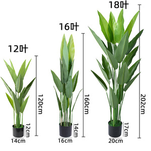 Bionic <span class=keywords><strong>Canna</strong></span> Lily Greenery Sala de estar Pieza decorativa grande de pie Árbol artificial para paisajismo Árbol de imitación sintético - Product Image 4