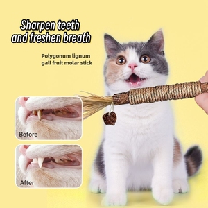 Bâtonnets de Soin Dentaire 100% Naturels pour <span class=keywords><strong>Chat</strong></span> en Rotin et Herbe à <span class=keywords><strong>Chat</strong></span> Argentée, Bâtonnets de Nettoyage des Dents à la <span class=keywords><strong>Menthe</strong></span> pour Chatons, Jouets à Mâcher pour <span class=keywords><strong>Chat</strong></span> - Product Image 1