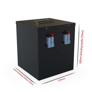 Batterie au lithium Delong Cube Shape Tricycle Pedicab 16S1P 48V 51.2V 50Ah GP51105 Batterie au lithium 48V 50Ah - Product Image 3