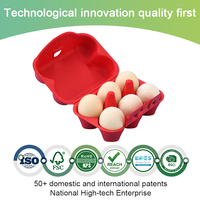 Plateau à œufs en pulpe de canne à sucre moulé sur mesure, plateau en pulpe recyclable, boîte d'emballage alimentaire en pulpe de fibre, impression UV, logo personnalisé