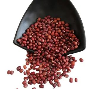 Organic Small Vaccum Packing Tianjin Adzuki Beans Bulk Organic Vigna Umbellata Small Round Red Bean Azuki Bean