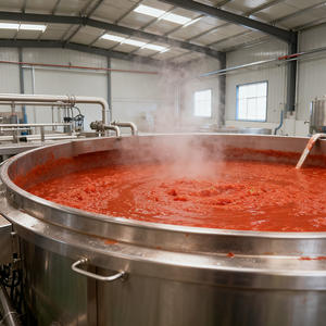 Linha de Processamento de Pasta de Tomate Longkun Machinery, com Capacidade de Produção de 1000 kg por Hora, Alta Eficiência. - Product Image 5