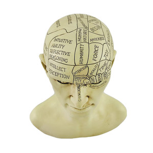 Statua in Resina di <span class=keywords><strong>Testa</strong></span> Vittoriana per Frenologia, Effetto Spaventoso - Product Image 5