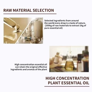 Fabricant ODM/OEM Fournisseur d'<span class=keywords><strong>Huile</strong></span> <span class=keywords><strong>de</strong></span> <span class=keywords><strong>Palme</strong></span> Rouge Biologique 100% Pure Naturelle Pressée à Froid <span class=keywords><strong>Huile</strong></span> Végétale Liquide Prix <span class=keywords><strong>de</strong></span> Gros en Vrac - Product Image 5