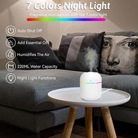 Diffuseur d'huiles essentielles portable H2O, mini pulvérisateur d'air pour voiture avec USB, humidificateur d'air électrique à ultrasons, pour chambre, bureau, extérieur