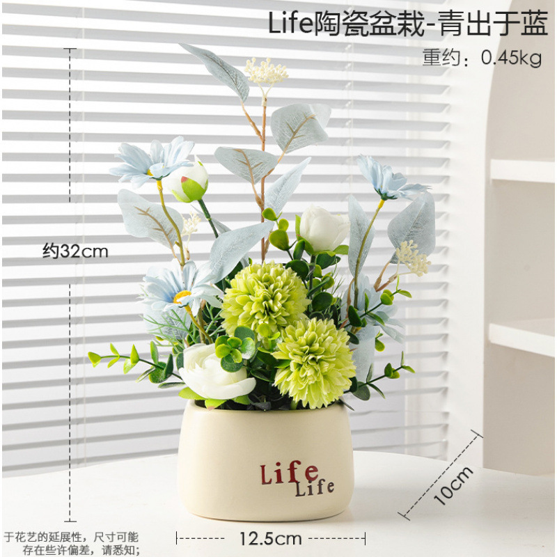 Plantes en pot Plastic Life - Dépasser le Maître