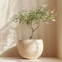 Jardinière ronde en béton sur mesure, pot à fleurs en ciment moderne et minimaliste, prix direct usine OEM ODM, export en gros