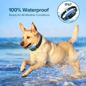 2025 mejor IP67 <span class=keywords><strong>Shock</strong></span> <span class=keywords><strong>Dog</strong></span> Anti Barking Collar Humane <span class=keywords><strong>Dog</strong></span> Anti Bark Collar buena herramienta para el control de ladridos - Product Image 6