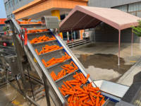 Machine à laver les pommes de terre SK machine de tri automatique pour le lavage du manioc, le séchage à l'air