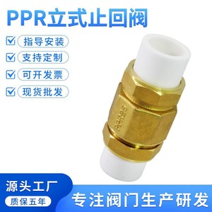 Vanne de retenue en laiton pour tuyau PPR2025, à passage direct, à une seule palette, pour l'alimentation en eau - Product Image 5